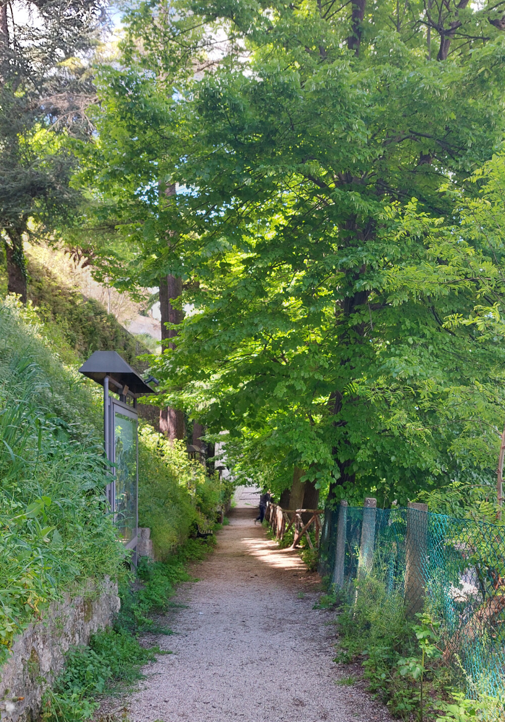 Strada della Vendemmia a Bertinoro Strada della Vendemmia a Bertinoro