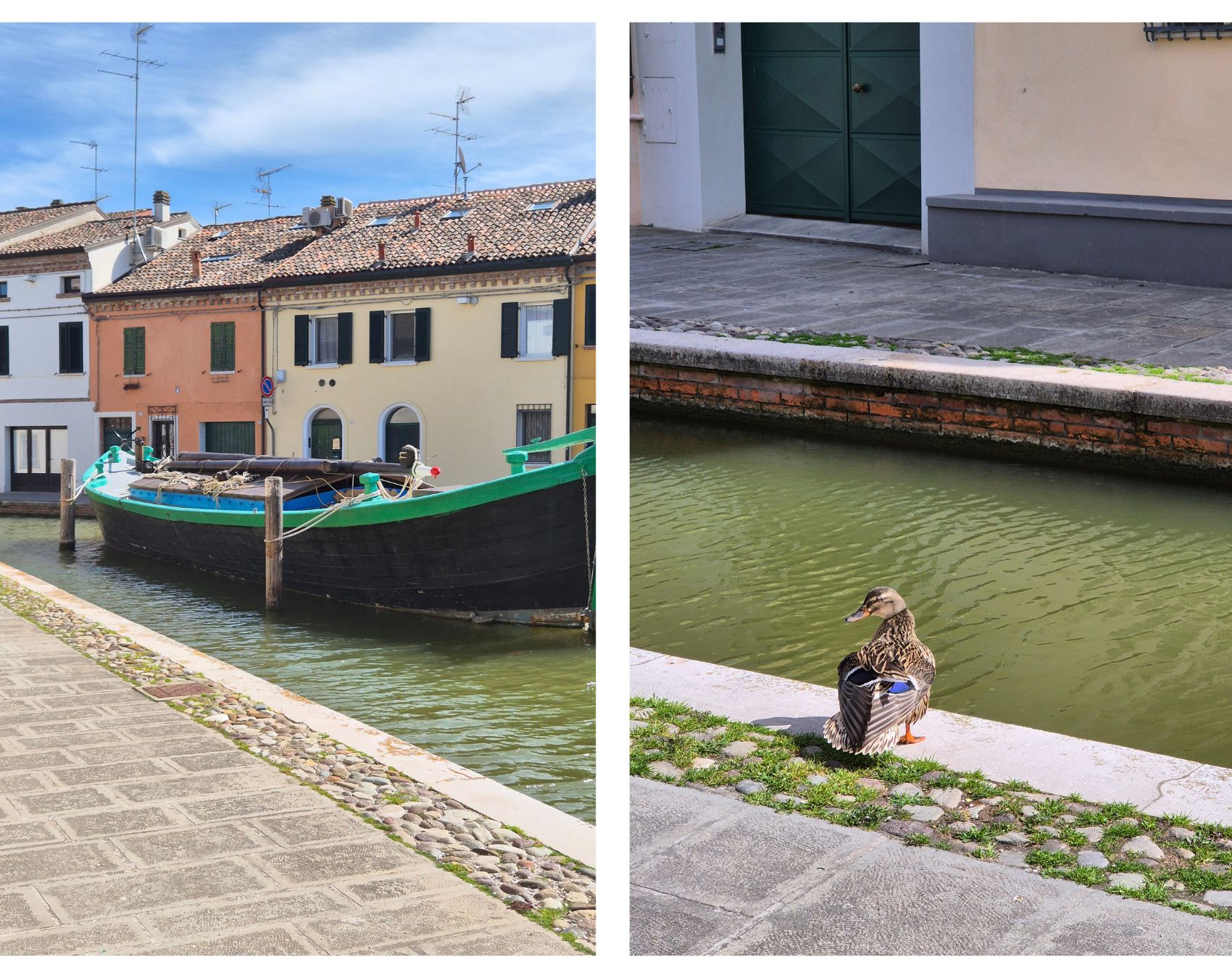 Passeggiando tra anatre e barche