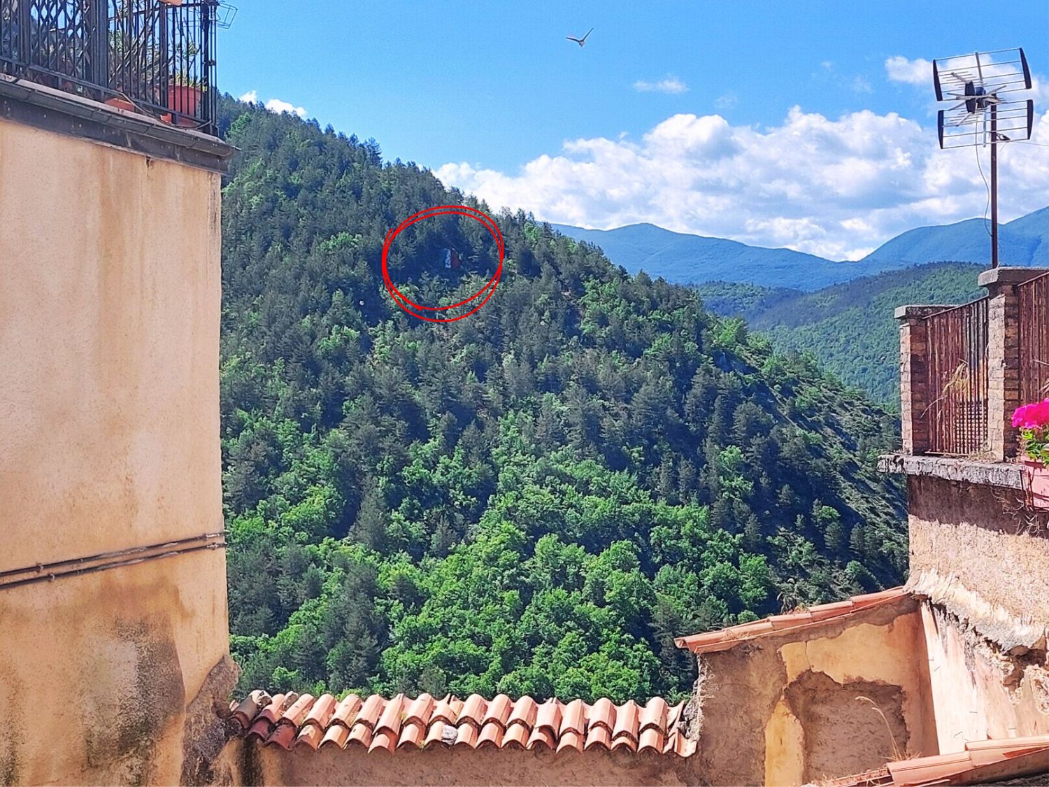 Corsa degli Zingari Pacentro