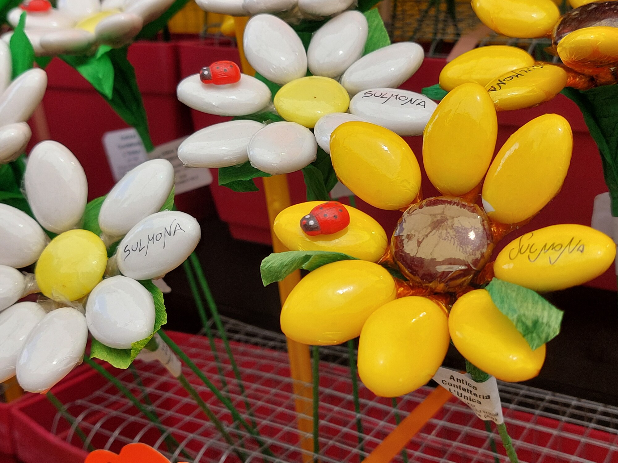 La città dei confetti