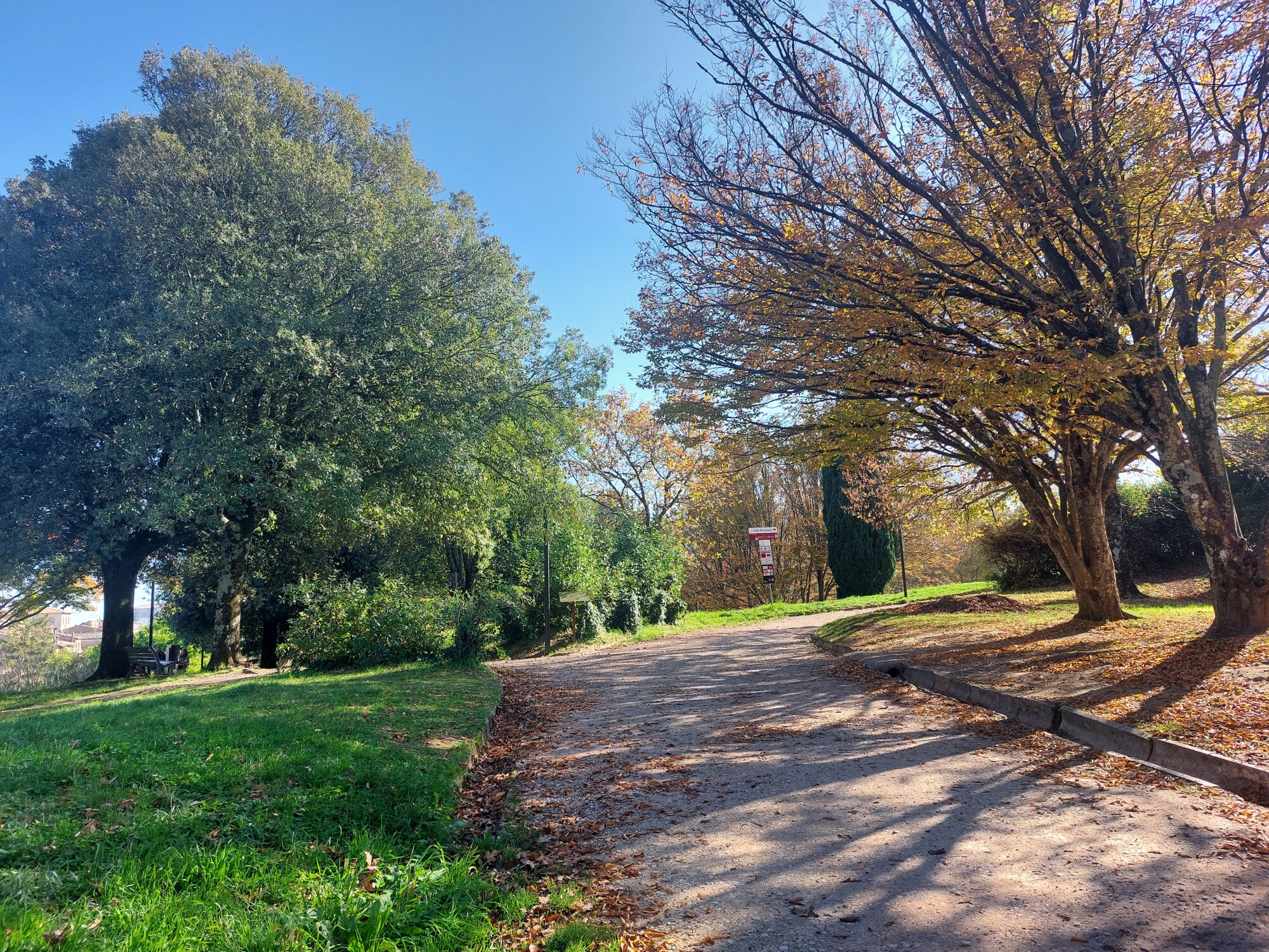 Parco e acropoli etrusca