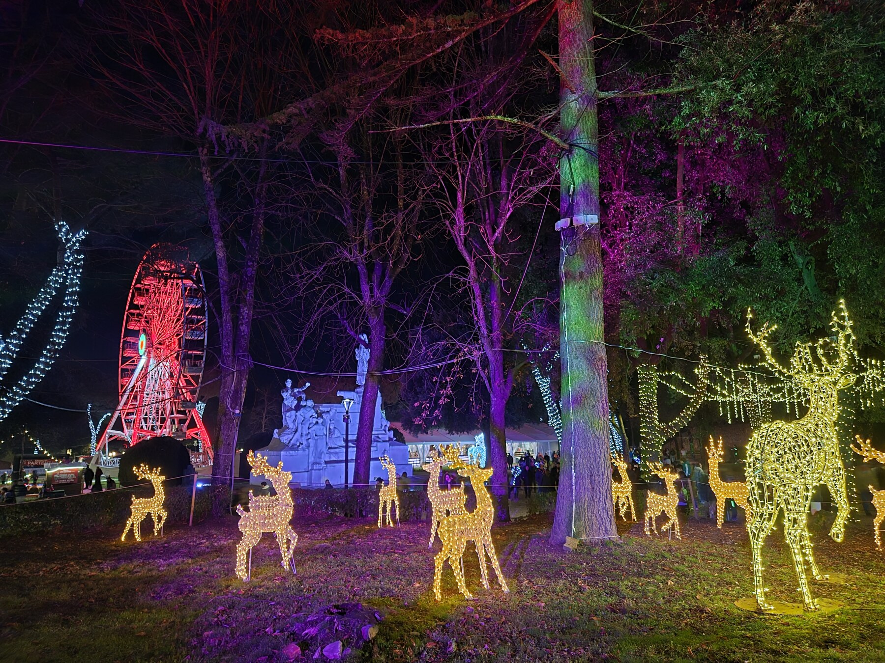 Bosco delle emozioni Arezzo