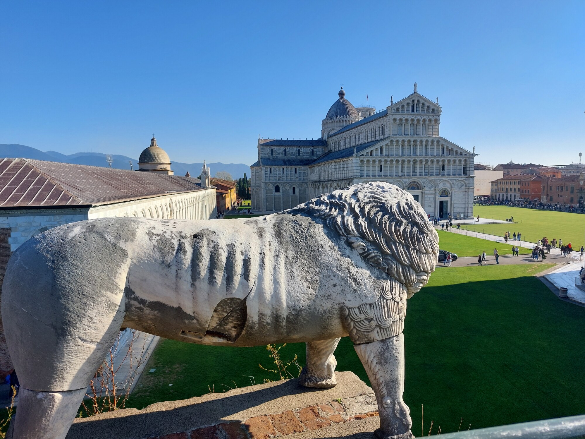 Leone in Piazza dei Miracoli