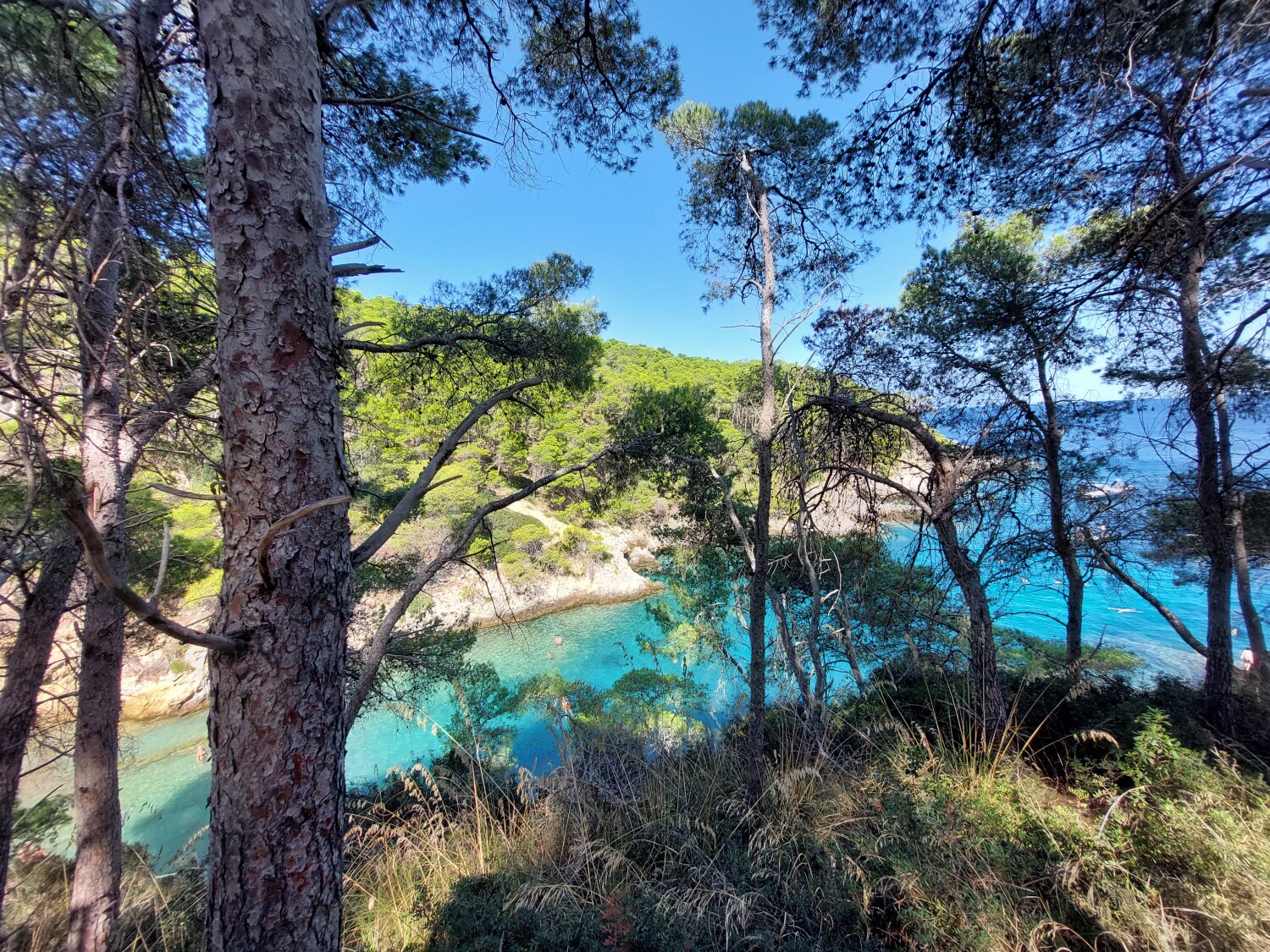 isola di San Domino