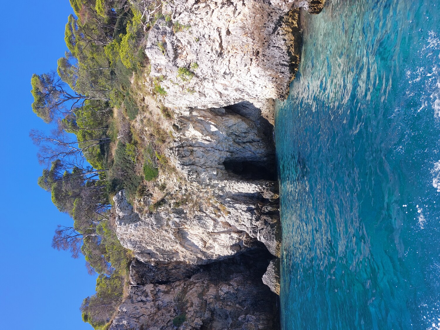 Grotta delle viole Isole Tremiti